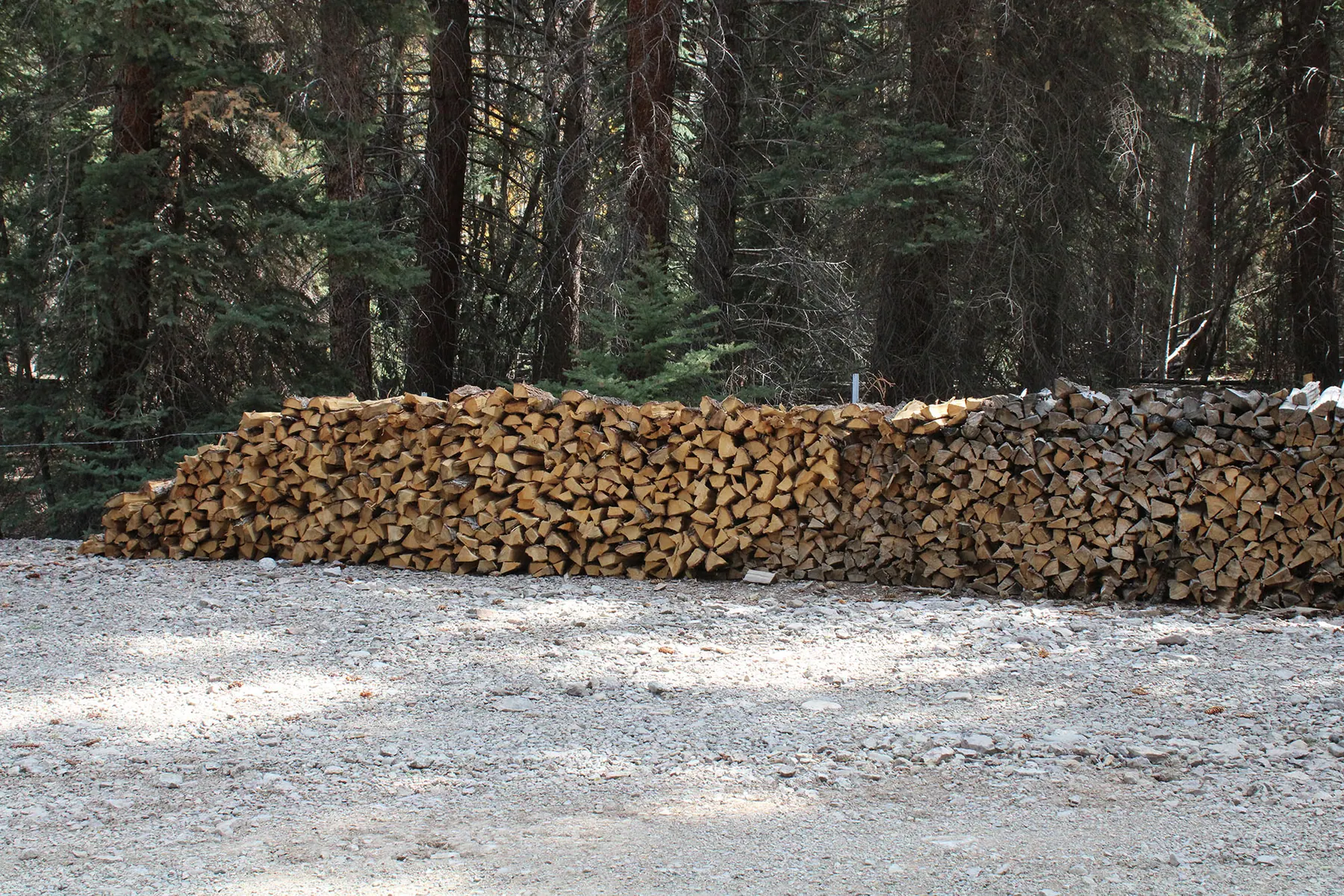 Seasoned Firewood