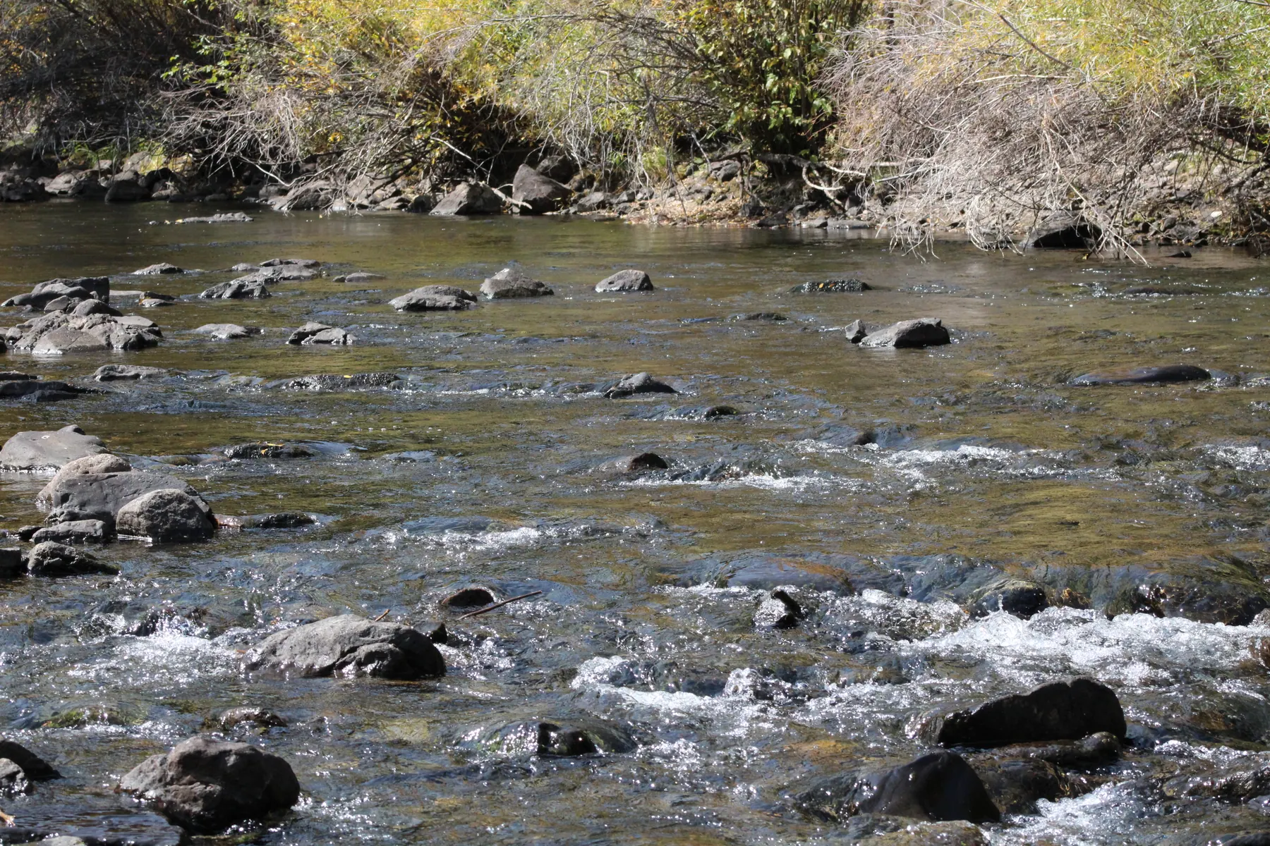 River Close Up