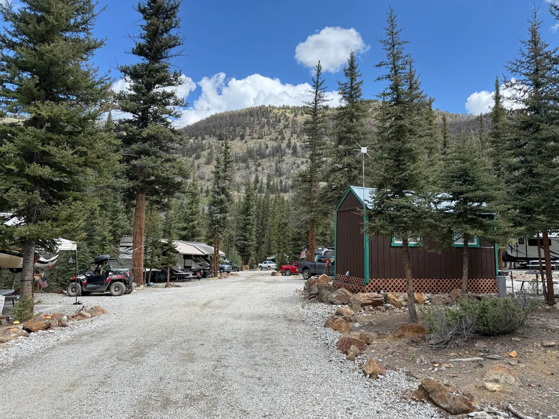 The Forest Loop Pines