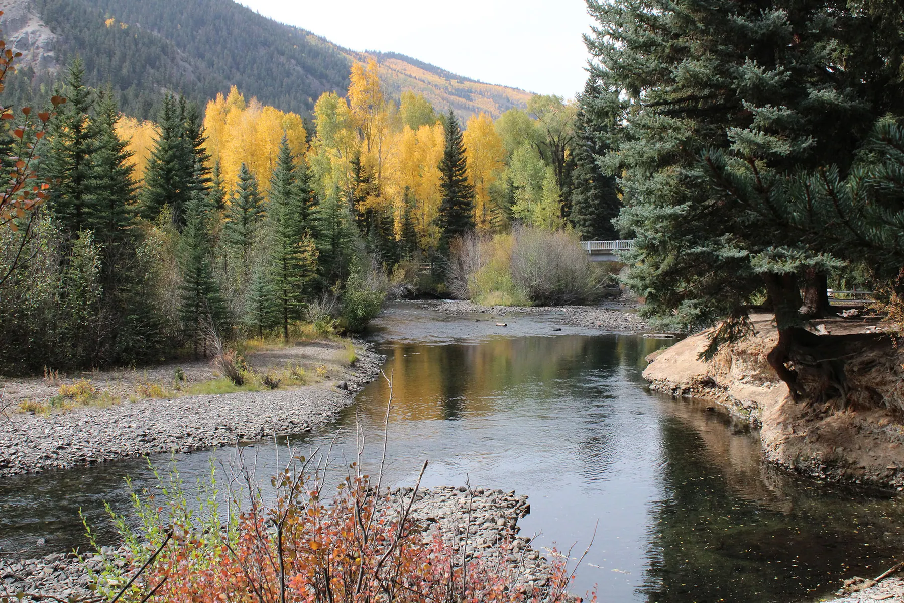 Woodlake River Vista